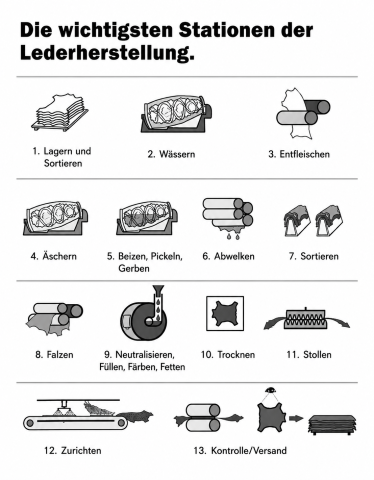 von der Rindshaut zum Leder